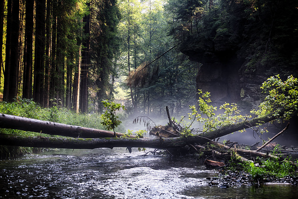 IMG-0807-HDR-1500-web.jpg